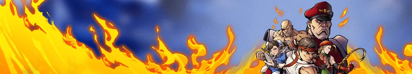 ستريت فايتر6